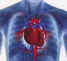 Generic de droguri impotriva bolilor de inima