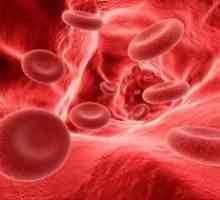 Deficit de fier anemie