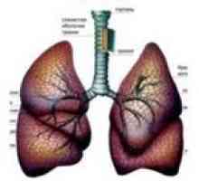 Astmul alergic
