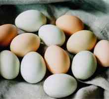 Consumul zilnic de ouă nu provoacă atacuri de cord