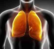 Ale tractului respirator Infecții