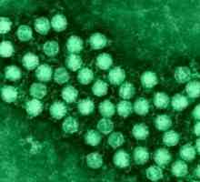 Infecție enterovirus