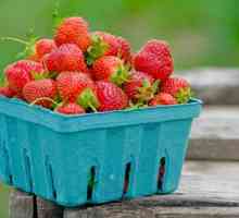 Căpșunile protejează împotriva îmbătrânirii și a cancerului