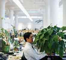 Plantele de interior a proteja lucrătorii de birou de boli