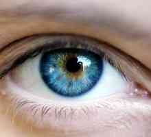 Ochii oncologie