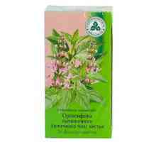 Orthosiphon staminale (ceai nefritic) frunze