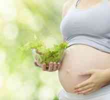 Alimente cu vitamina D din dieta femeilor gravide pentru a proteja copiii de alergii