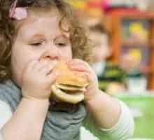 Posibilitati de alimentatie declanseaza obezitatea la copii