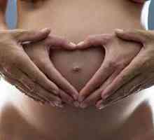 Pregătirea și planificarea sarcinii