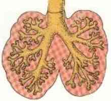 Malformații de dezvoltare pulmonare