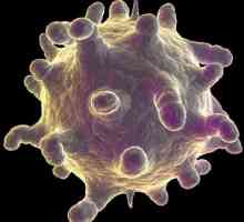Infecția cu rinovirus
