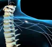 Tehnologia de recuperare de respiratie la persoanele cu leziuni ale măduvei spinării