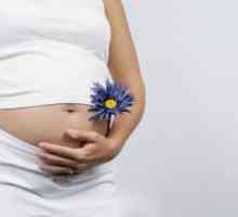 Transplant uterin este capabil să dea femeilor bucuria maternității
