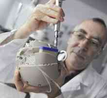 Oamenii de știință au creat o inima artificiala