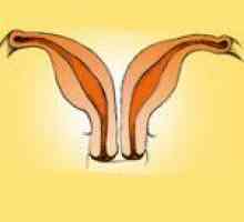 Dublarea uterului si vaginului