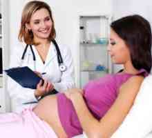 Ureaplasma în timpul sarcinii