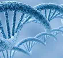 Specificitatea speciilor a moleculelor de ADN