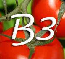 Vitamina b3 (niacina)