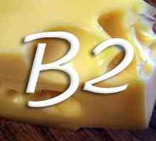 Vitamina B2 (riboflavină)