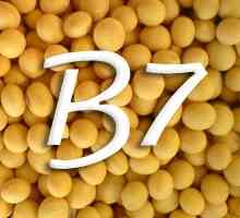 Vitamina B7 (biotin)