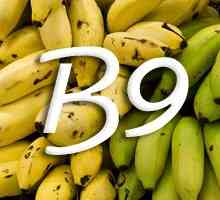 Vitamina B9 (acid folic)