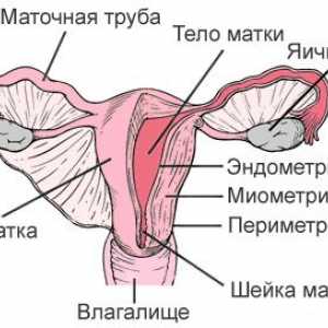 Adenomioza (endometrioza, corp uterin)