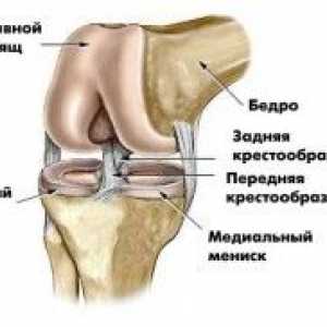 Dureri în articulația genunchiului