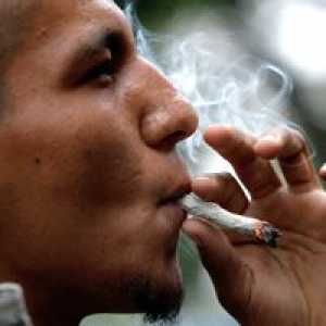 Marijuana reduce capacitatea omului de a concepe