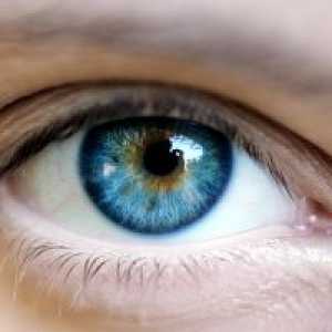 Ochii oncologie