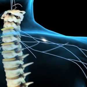 Tehnologia de recuperare de respiratie la persoanele cu leziuni ale măduvei spinării